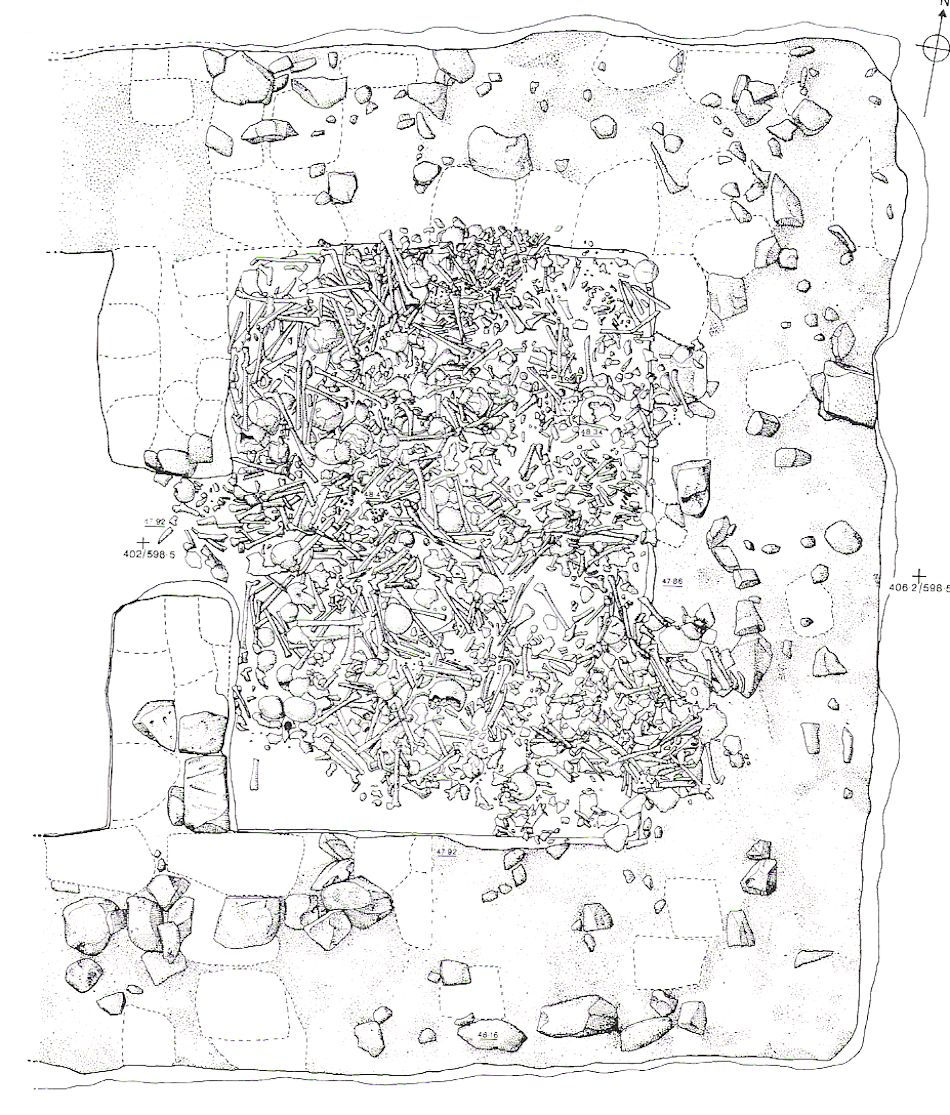 The Viking Overwintering at Repton Viking Archaeology